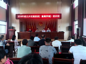 六安職業(yè)技術(shù)學(xué)院為城北鄉(xiāng)農(nóng)民開展網(wǎng)絡(luò)信息技術(shù)開發(fā)技能培訓(xùn)活動(dòng)